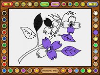 Coloring book 4: Plants