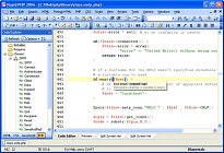Rapid PHP Editor 2010