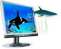 3D Marine Aquarium Screensaver
