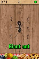 Obrovský mravec