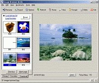 Image Browser Arctic