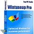 Wintuneup Pro