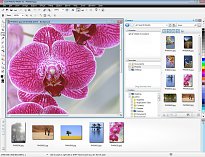 CorelDRAW Graphics Suite - Pracovná plocha