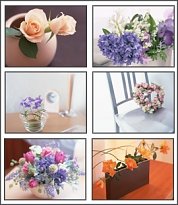 Floral Designs 2 Screensaver