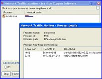 Network Traffic Monitor