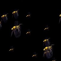 Swarm of Bees Screensaver