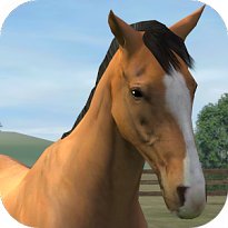 My Horse (mobilné)