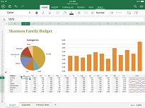 Príklad rodinného rozpočtu