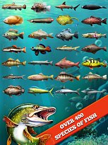 Cez 400 druhov rýb