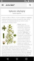 Detailný popis rostliny