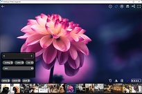 Ashampoo Photo Organizer Pro