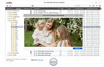 Stellar Data Recovery