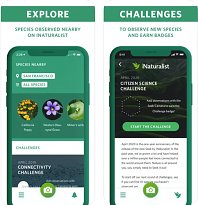 Seek by iNaturalist
