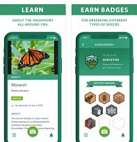Seek by iNaturalist