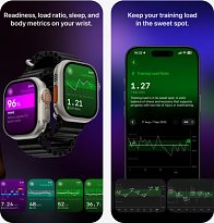 The Outsiders The Outsiders