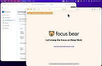Focus Bear