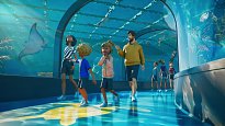 Planet Zoo 2 Planet Zoo 2 Planet Zoo 2